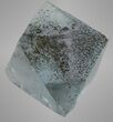 Fluorite Octahedron (Chalcopyrite Inclusions) - Illinois #36151-1